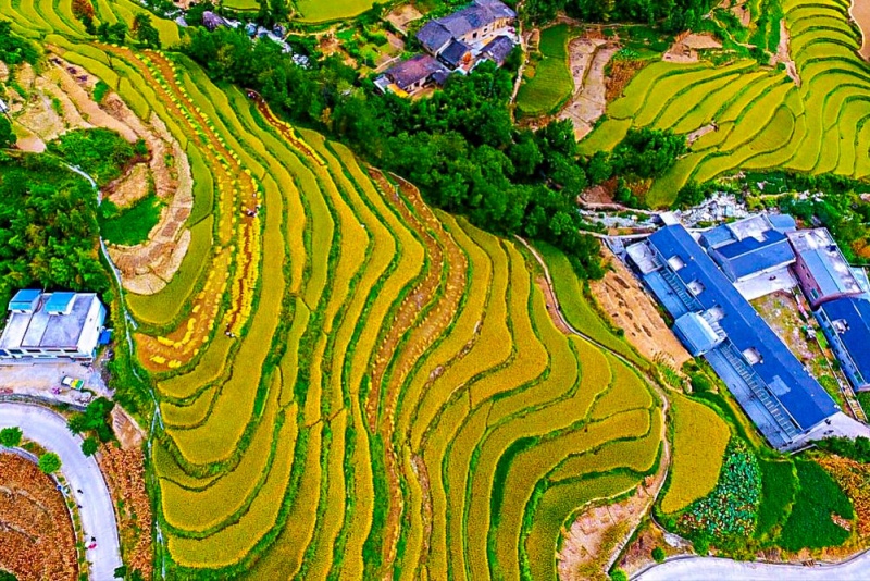 【中秋| 凤堰古梯田】9月20-21日 凤堰梯田稻花香 田园乡村古梯田 2日