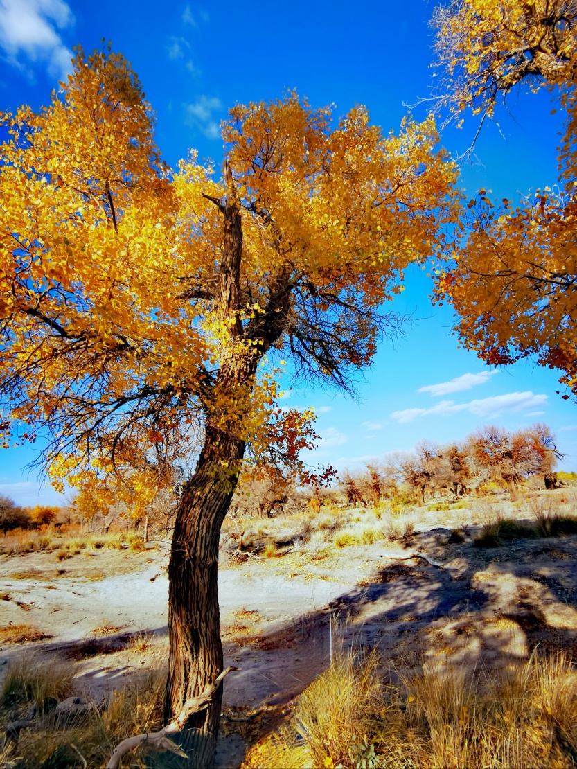 68f097f2cc935.jpg