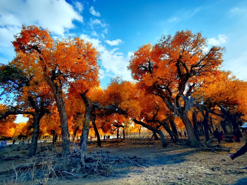 68f098127c0ae.jpg