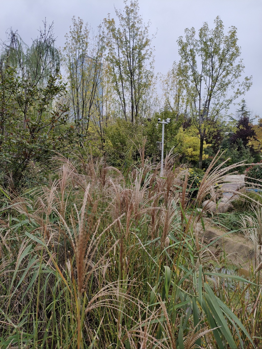 68f30ae6cf6c0.jpg