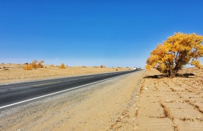 南疆行.穿越塔克拉玛干沙漠公路