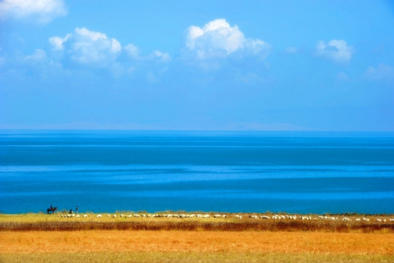 青海湖