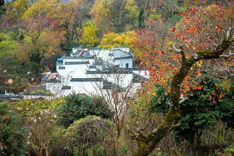 塔川