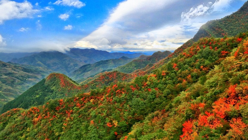 天竺山3-1080 天竺山3-1080