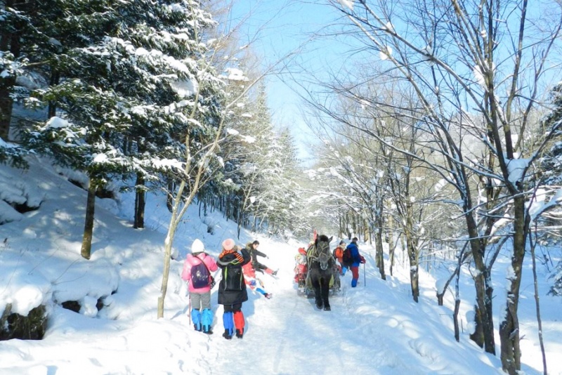 雪谷穿越2