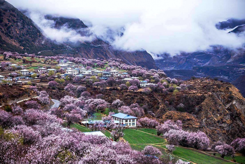 波密桃花沟