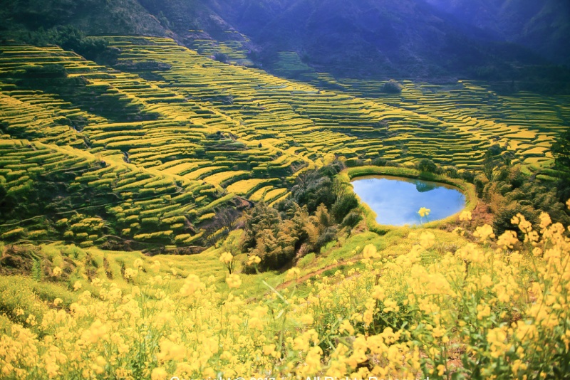 篁岭