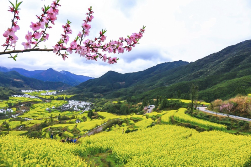 江岭