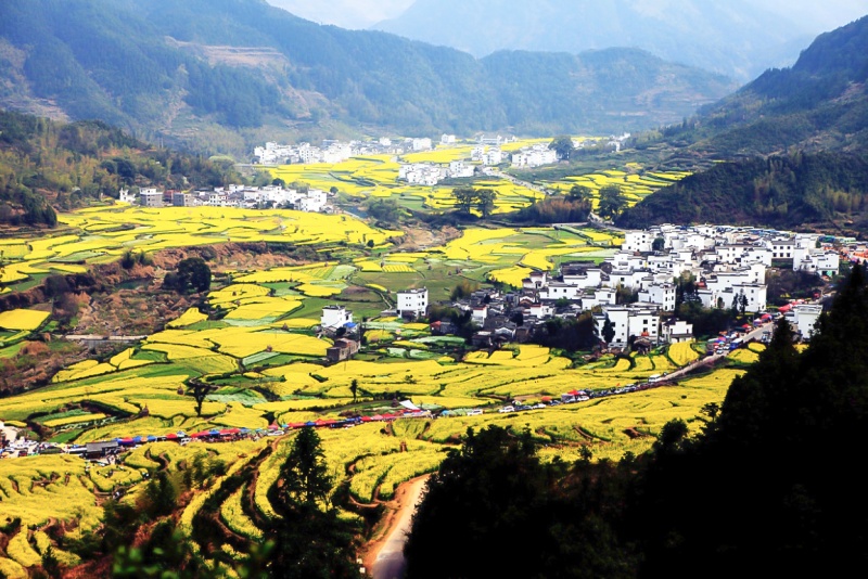 江岭