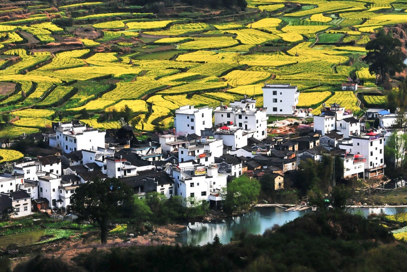 篁岭