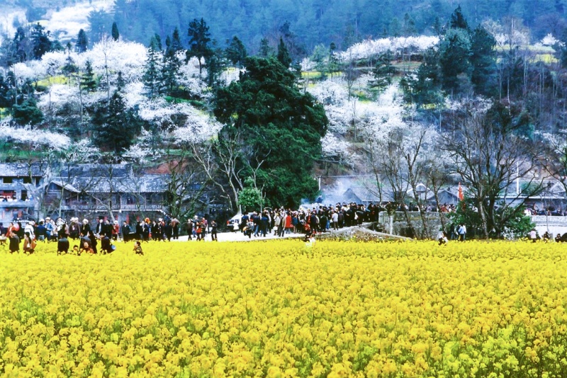 金海雪山