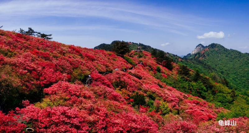 龟峰山  图7