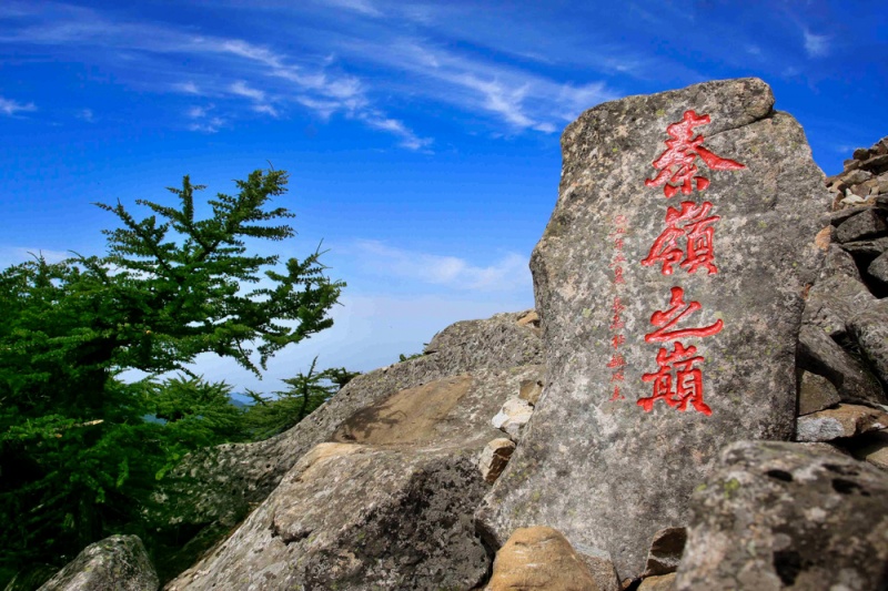 朱雀森林公园 (8)