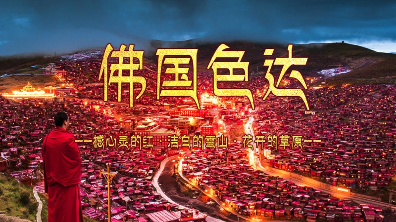 色达-手机端-banner