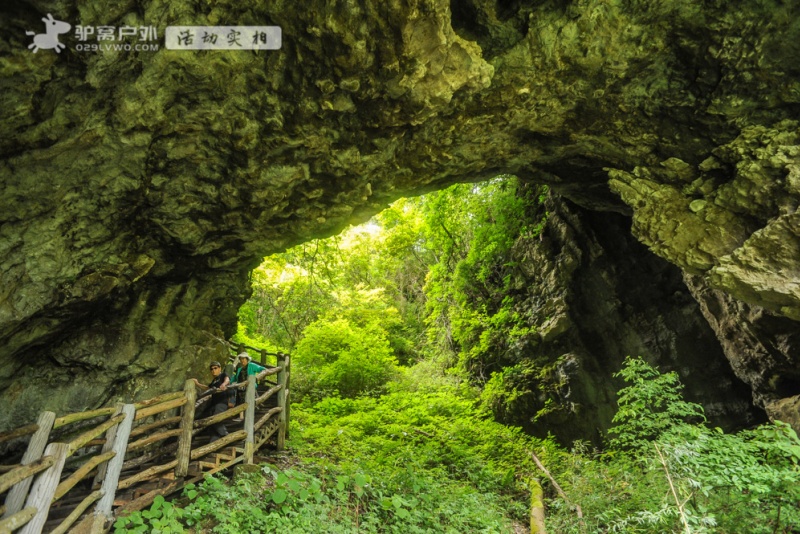 川洞庵