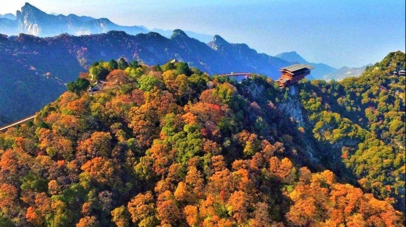 174717wwo7i6zcjc1b919c 174717wwo7i6zcjc1b919c