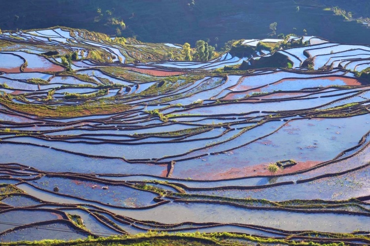 撒玛坝