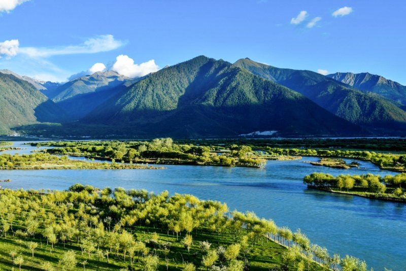 尼洋河湿地