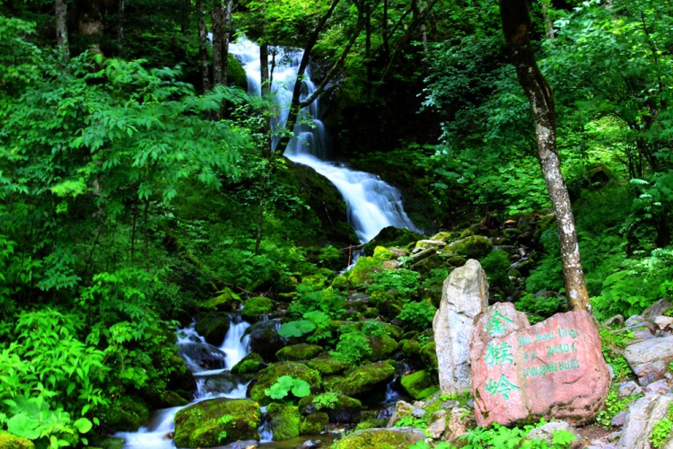 神农顶风景区