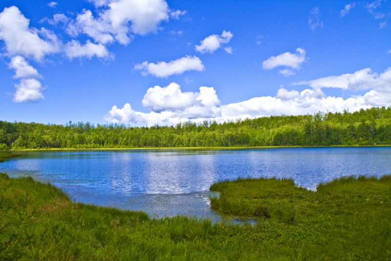 阿尔山森林公园