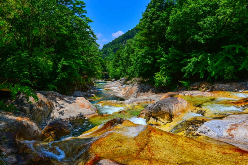 黄柏塬.大箭沟