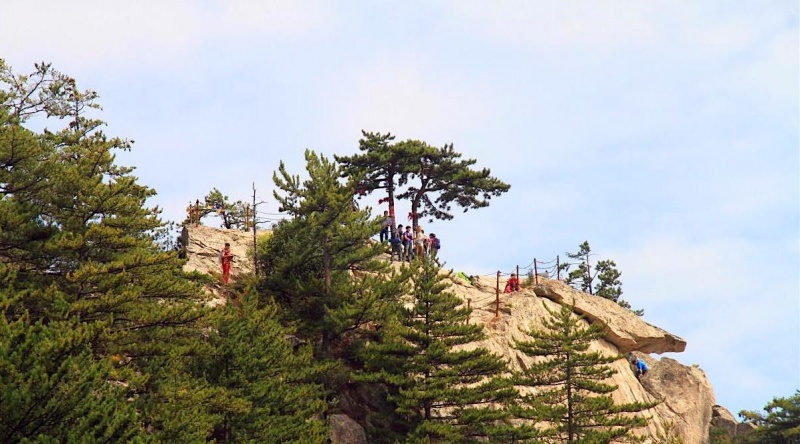 九鼎万花山