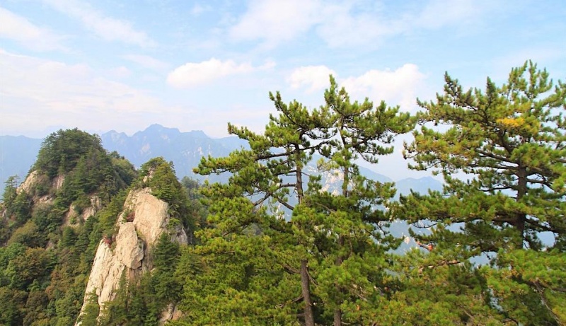 九鼎万花山