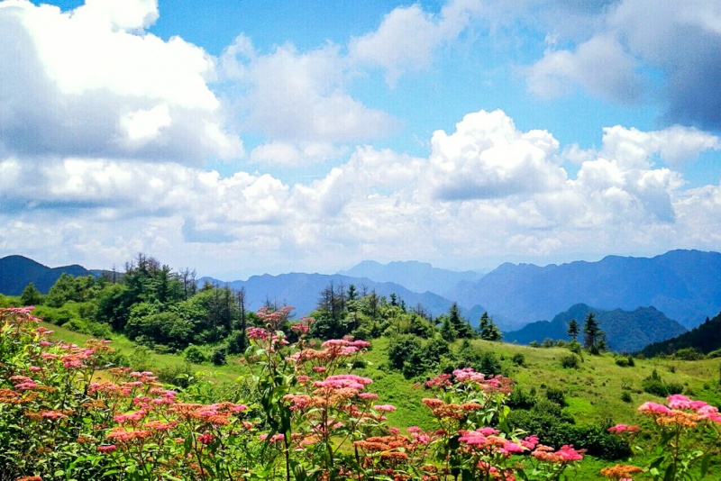 神河源