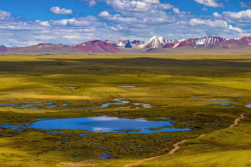 麦地卡湿地