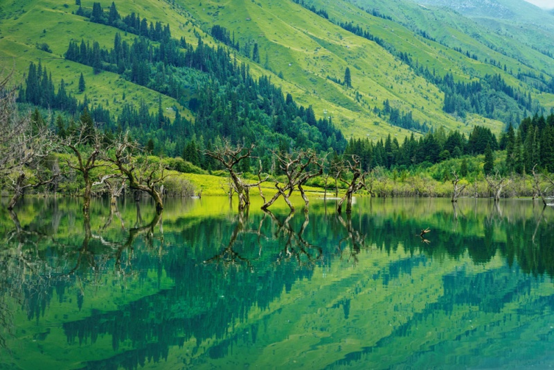 四姑娘山.双桥沟