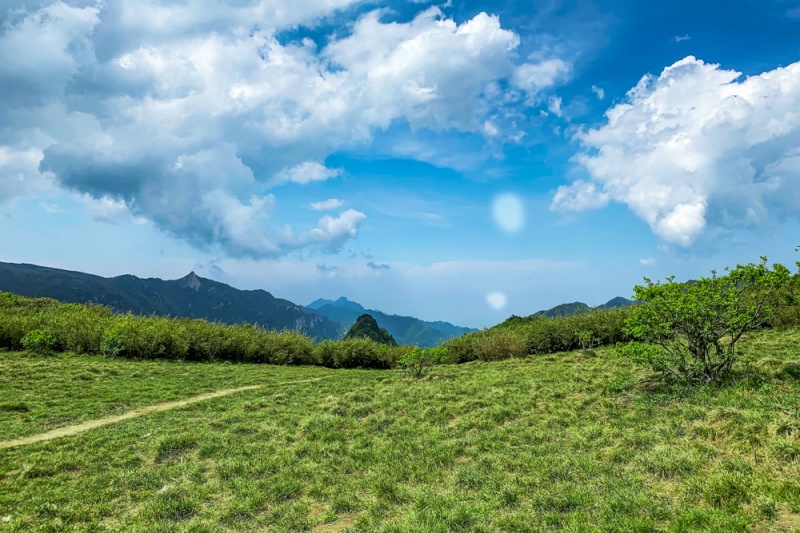 东坪沟高山草甸5