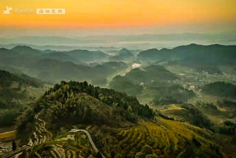 紫鹊界