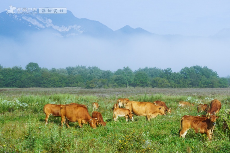 官门山