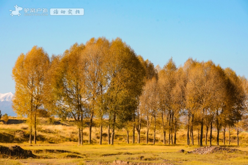 山丹军马场路景