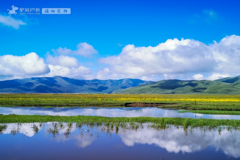 阿万仓湿地