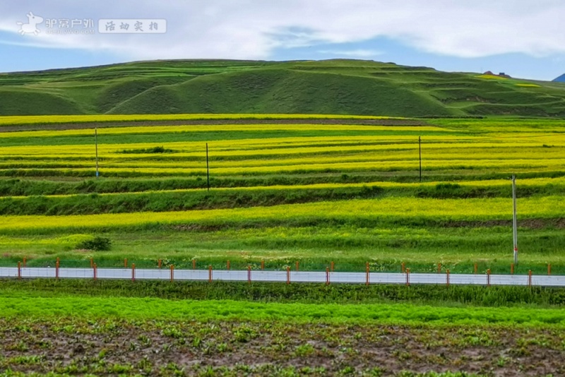 沿路景色