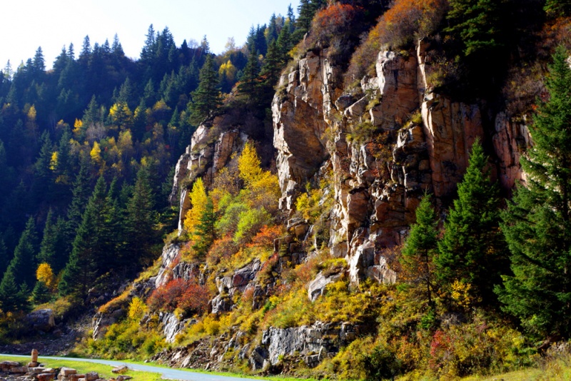 芦芽山