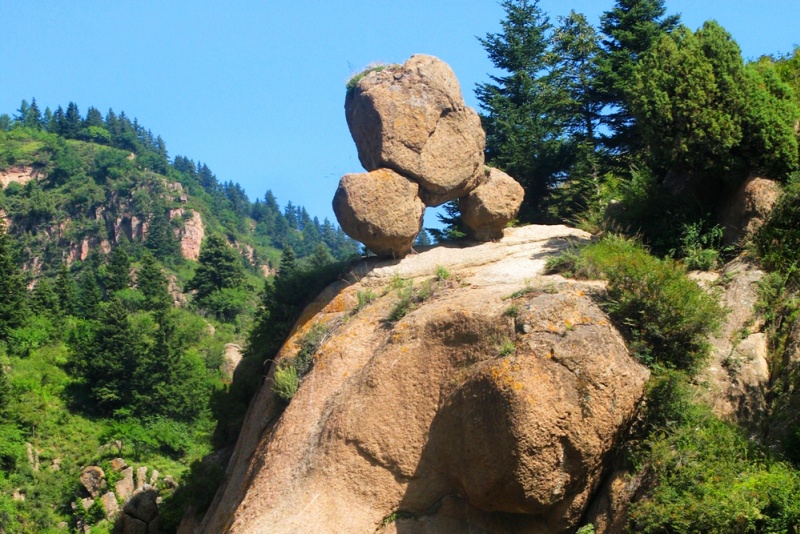 芦芽山