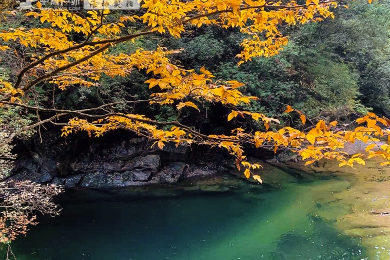 米仓山风景区