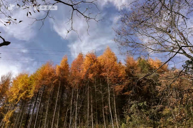 米仓山风景区