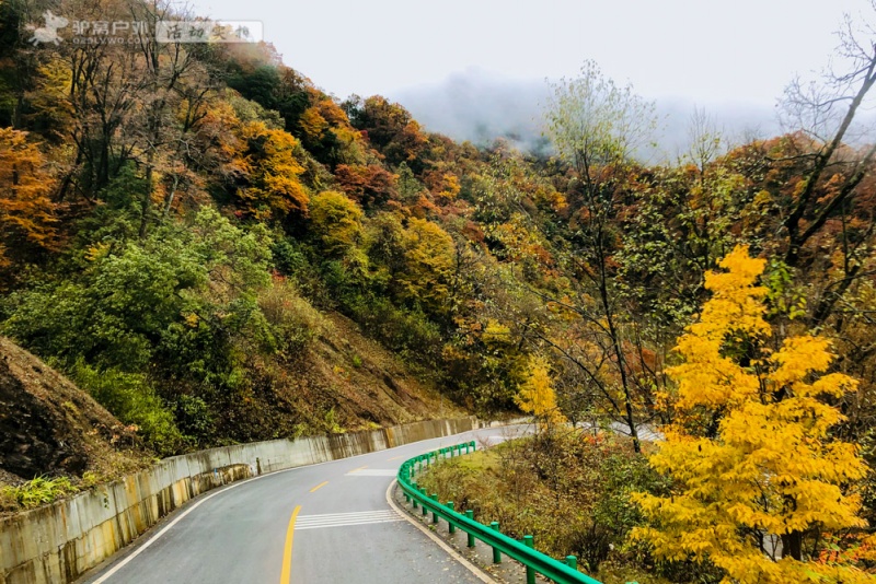 米仓山风景区