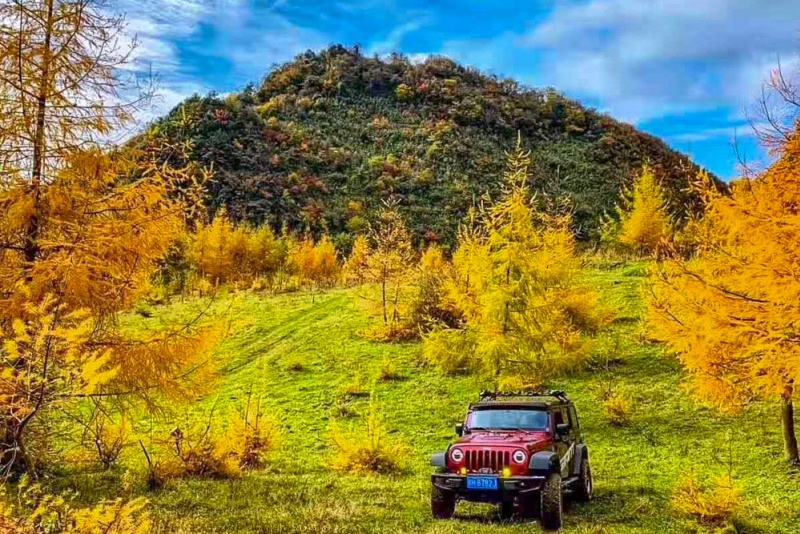 林间路景