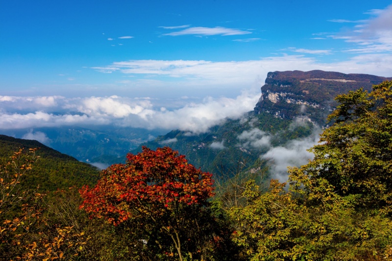 龙头山