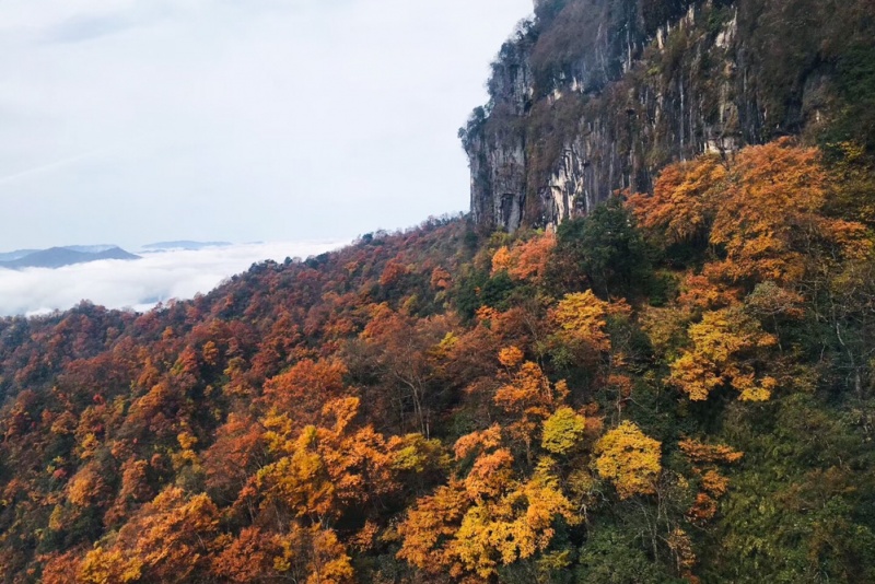 龙头山