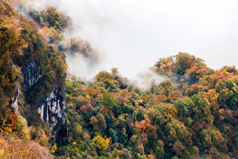 龙头山