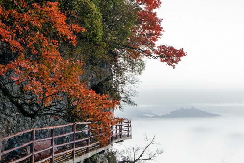 龙头山