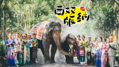 【向往的生活•版纳慢旅行】12月 走进奇幻雨林 解锁“象”往的生活 尽享“小泰国”异域风情 9日