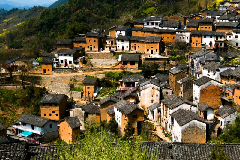 阳产土楼