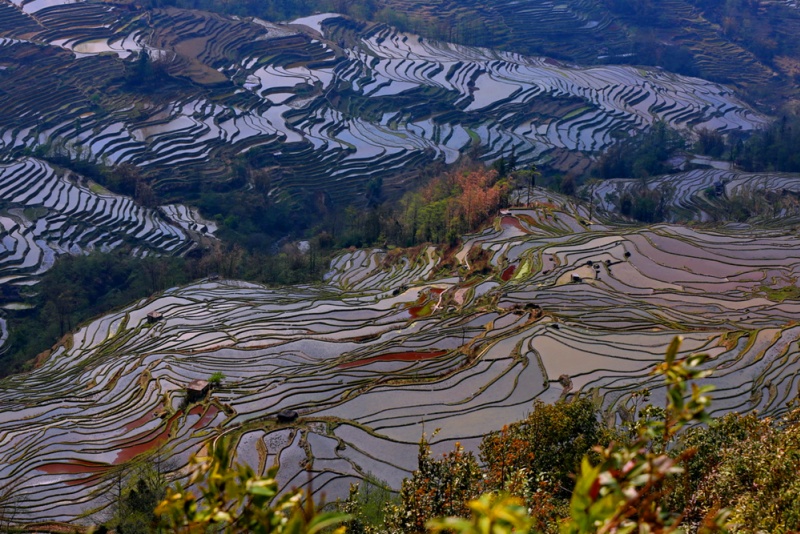 坝达梯田0