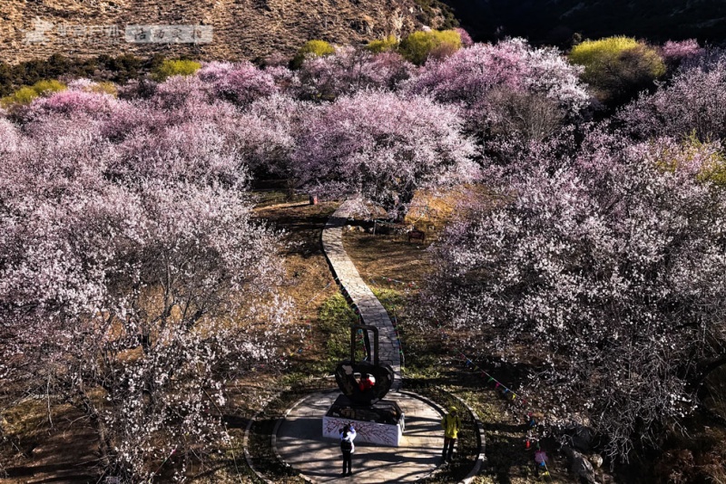 嘎拉桃花村